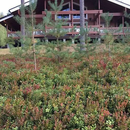 Maaria, Laatulomat *