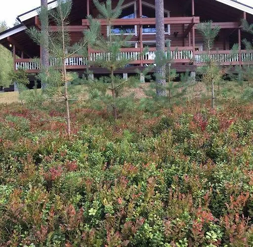 Maaria, Laatulomat *