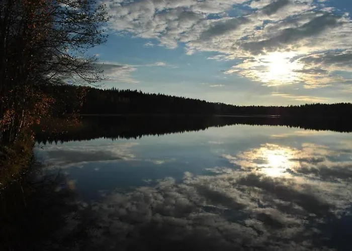 Maaria, Laatulomat *